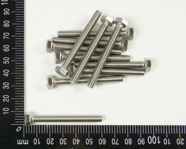 10x Edelstahl Sechskantschraube, M6x55mm, V4A