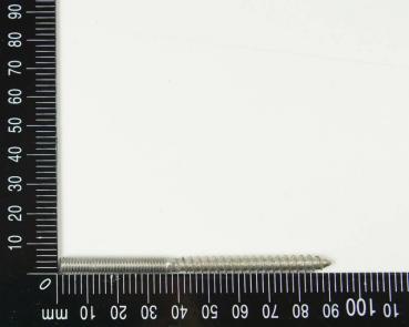 1x Edelstahl Astschrauben/Stockschrauben, M6, 6x90mm